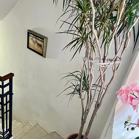 Bnbook Casa Giolito 아파트